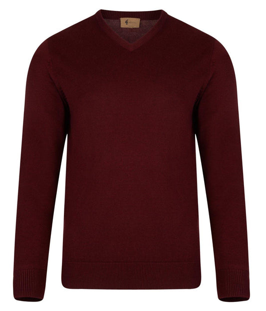V00GK06 Mens Brandon Vee Neck Sweater Gabicci Vintage - PORT