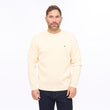 G56K04 Mens Plain Knit Crew Neck Gabicci Classic - IVORY